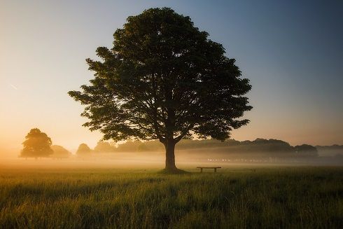 mindfulness en madrid mindfulness en madrid